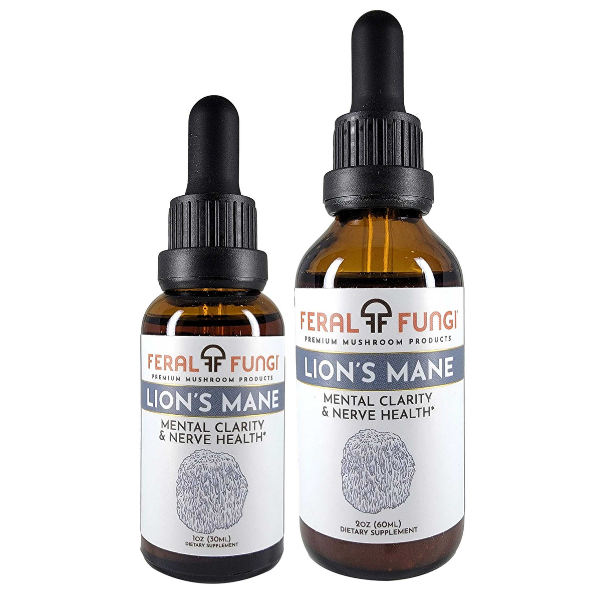 Lion's Mane Mushroom extract