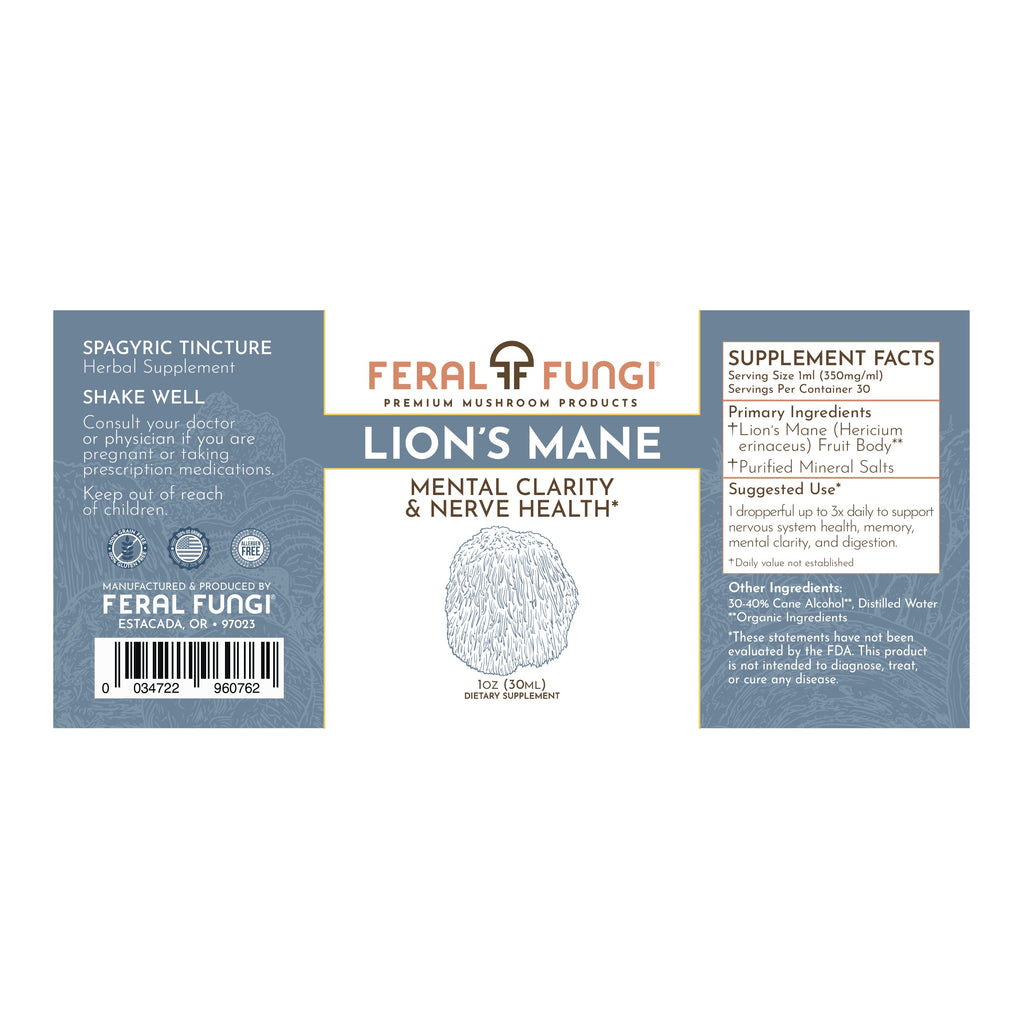 Lion's Mane Mushroom extract