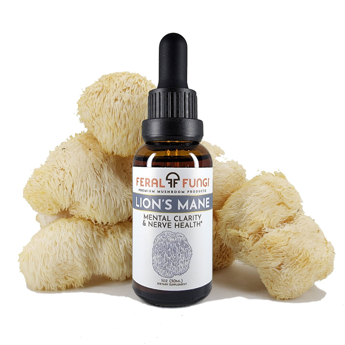 Lion's Mane Mushroom extract