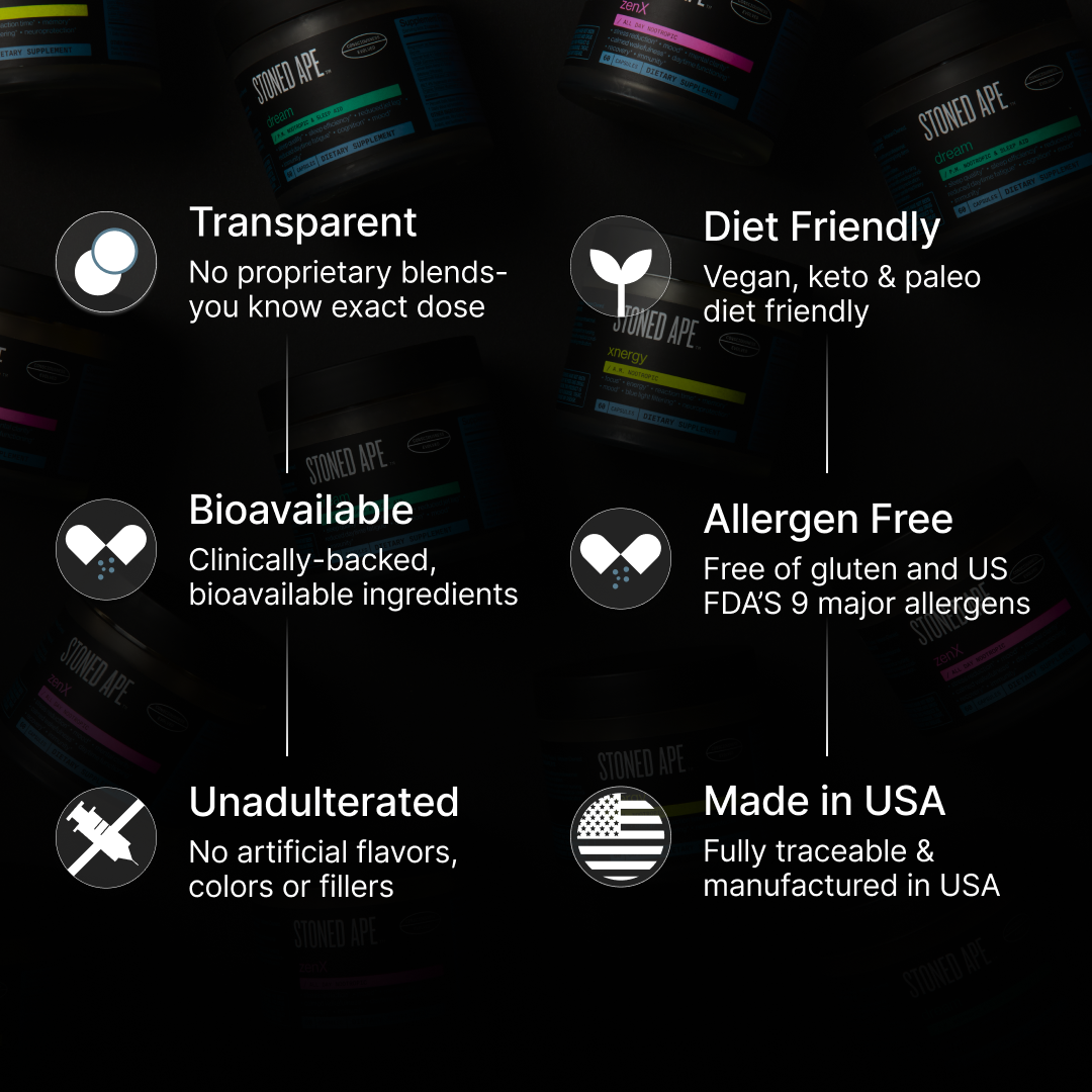 Xnergy A.M. Nootropic-Energy & Focus