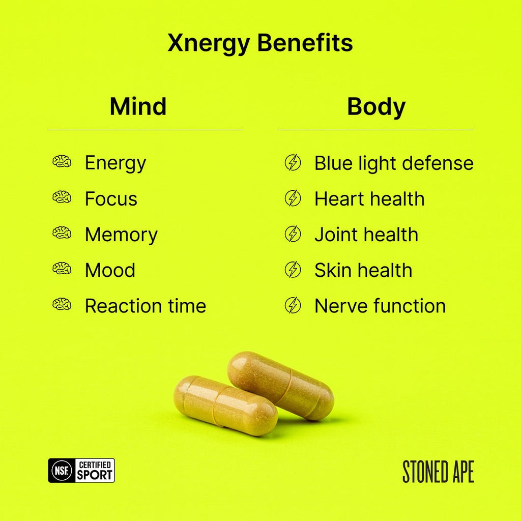 Xnergy A.M. Nootropic-Energy & Focus