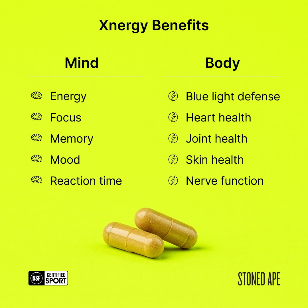 Xnergy A.M. Nootropic-Energy & Focus