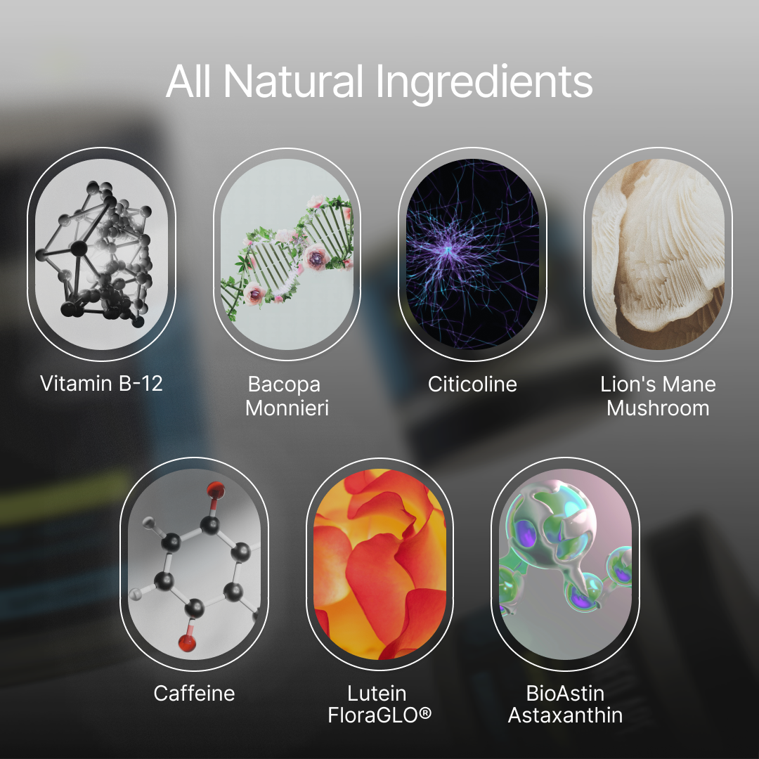 Xnergy A.M. Nootropic-Energy & Focus